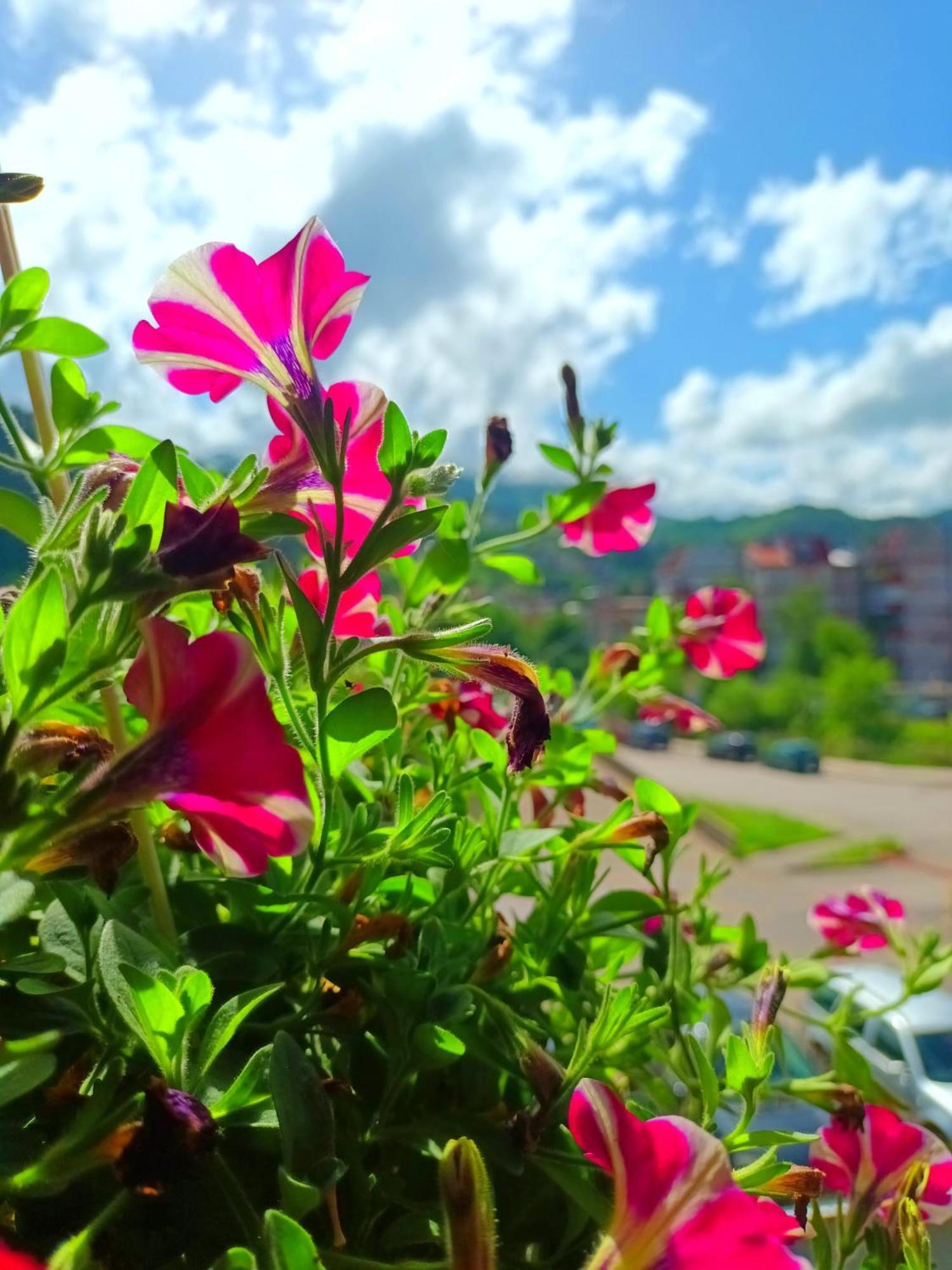 Spacious And Modern Apartment In Town Center Konjic Exteriör bild